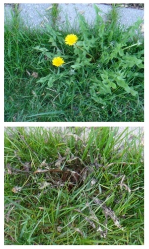 Before and After (24hours)